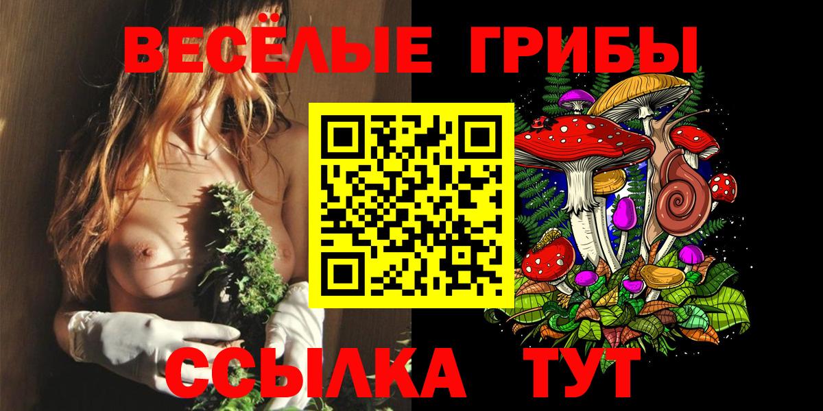 Михайловск  Галлюциногенные грибы MAGIC MUSHROOMS  Вход с VPN 