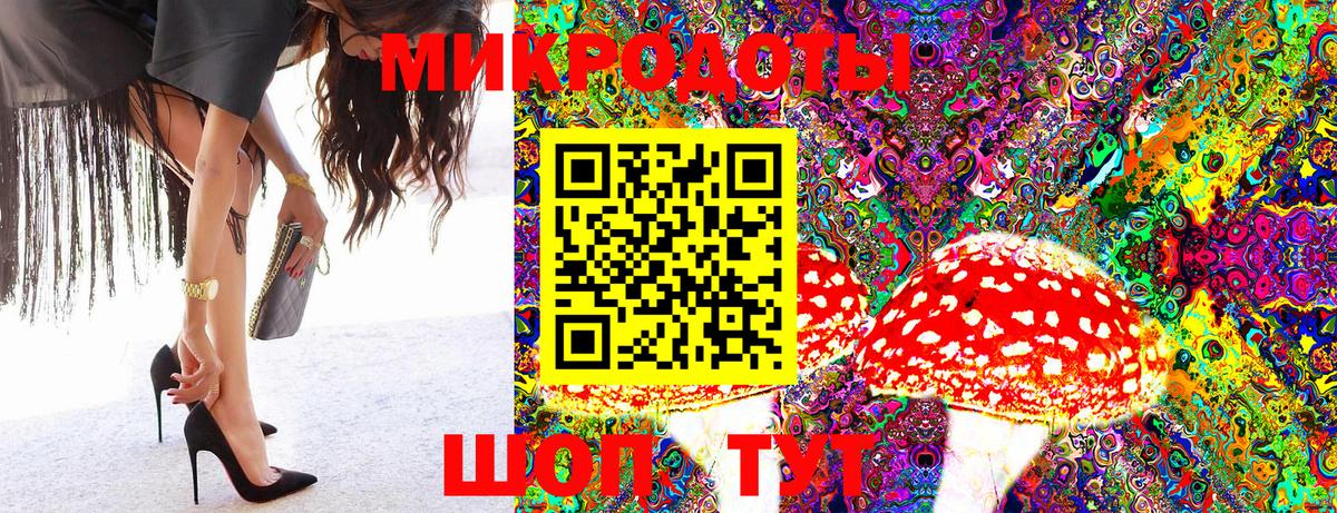 Псилоцибиновые грибы Psilocybe Михайловск